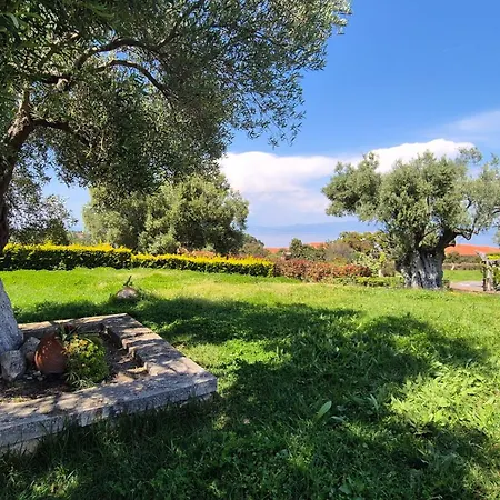 Alexander Dion House