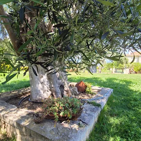 Дом отдыха Alexander Dion House *