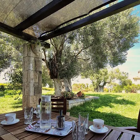 Tatil Evi Alexander Dion House Afytos
