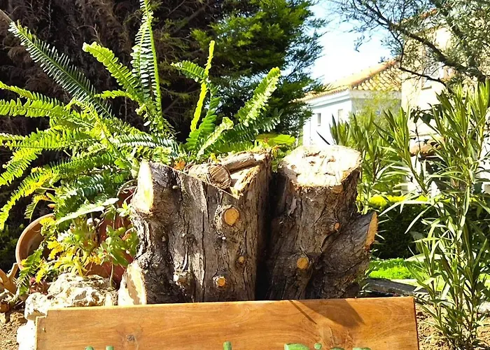 Alexander Dion House * Afytos