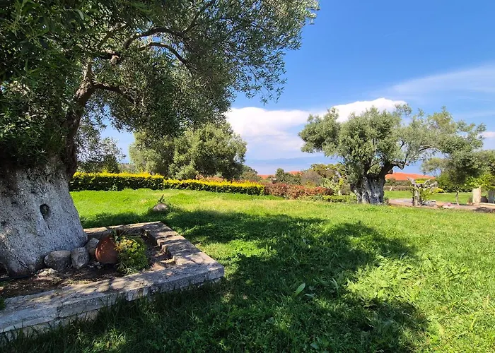 Alexander Dion House