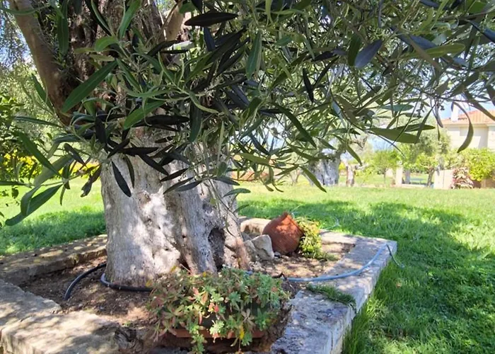 Case de vacanță Alexander Dion House *